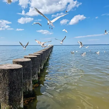 W Rewalu 42 M2, Tylko 40 Metrow Od Plazy アパート